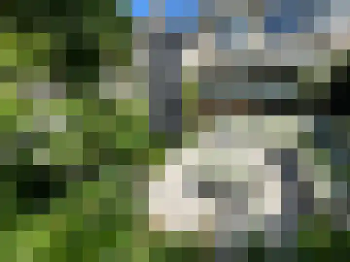 Riddersborch 13 Houten thumbnail 31