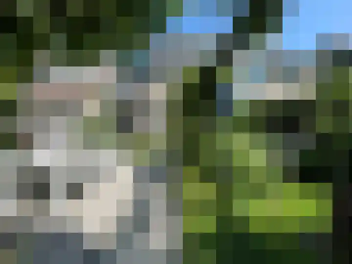 Riddersborch 13 Houten thumbnail 32