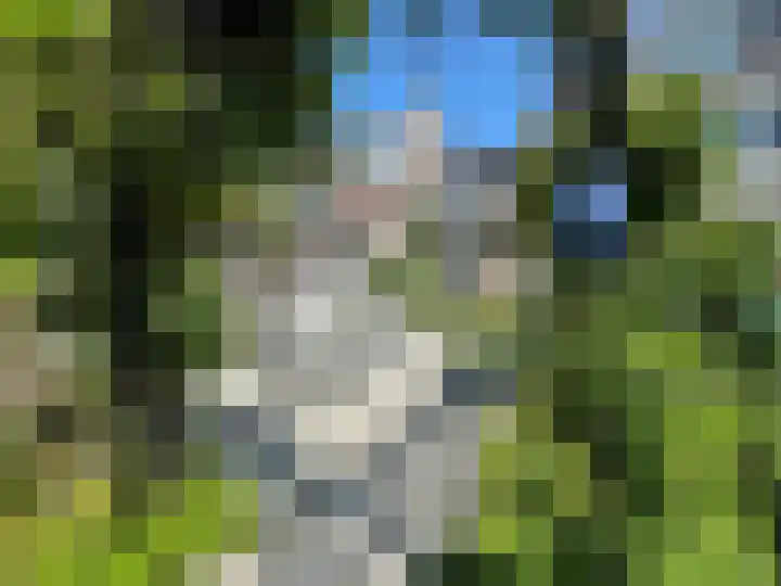 Riddersborch 13 Houten thumbnail 33