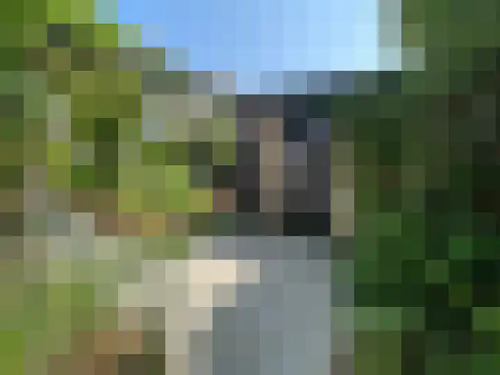 Riddersborch 13 Houten thumbnail 34