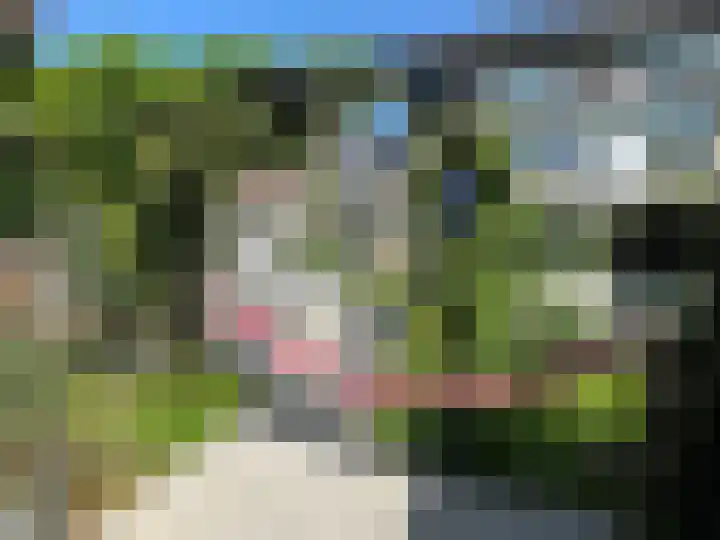 Riddersborch 13 Houten thumbnail 35