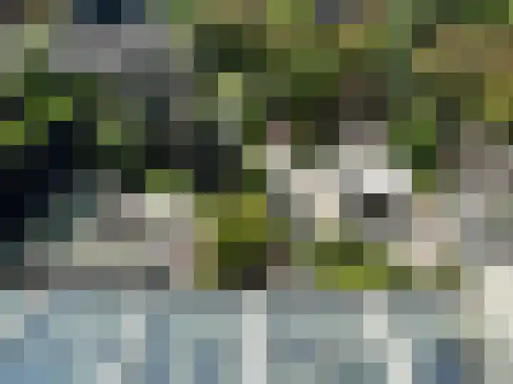 Riddersborch 13 Houten thumbnail 38