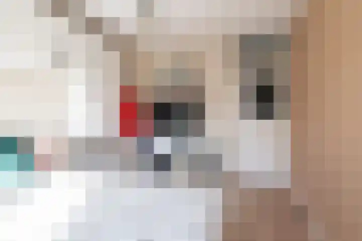 Riddersborch 13 Houten thumbnail 39
