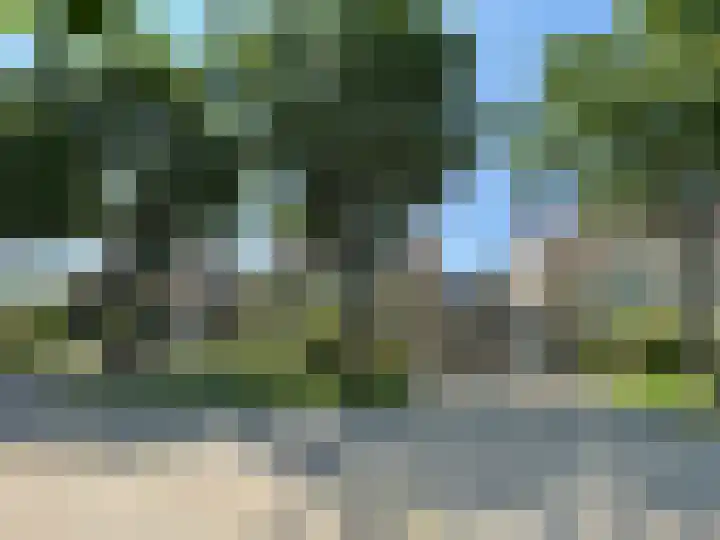 Riddersborch 13 Houten thumbnail 4