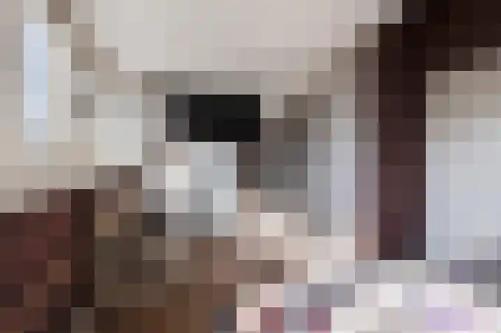 Riddersborch 13 Houten thumbnail 54