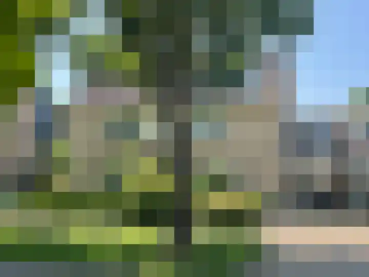 Riddersborch 13 Houten thumbnail 57