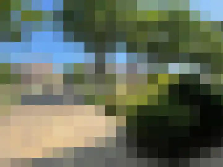 Riddersborch 13 Houten thumbnail 6