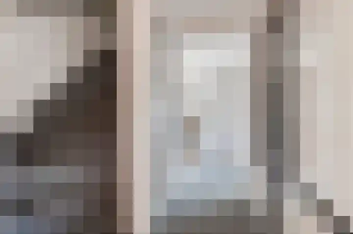 Riddersborch 13 Houten thumbnail 8