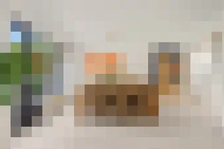 Riddersborch 36 Houten thumbnail 11