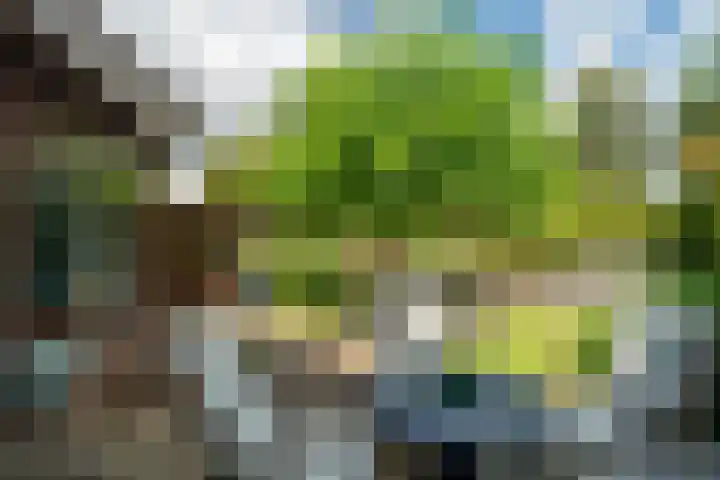 Riddersborch 36 Houten thumbnail 19