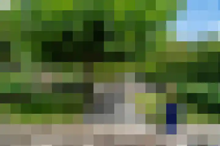 Riddersborch 36 Houten thumbnail 20