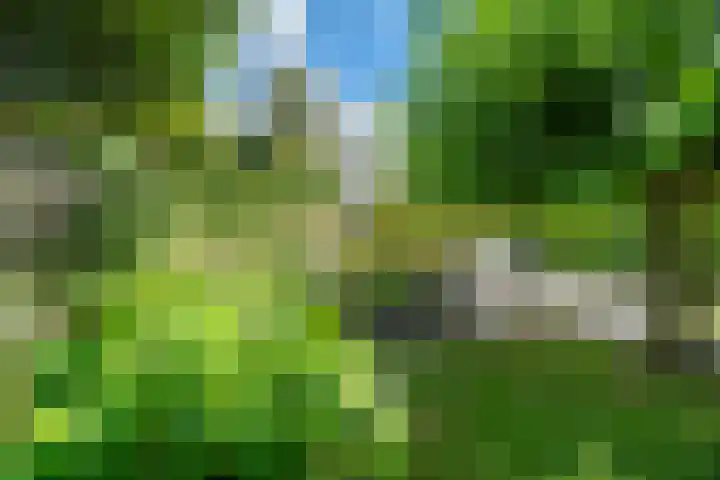 Riddersborch 36 Houten thumbnail 21