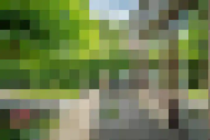 Riddersborch 36 Houten thumbnail 22