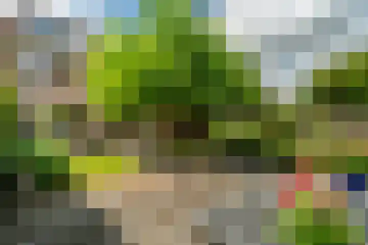 Riddersborch 36 Houten thumbnail 23