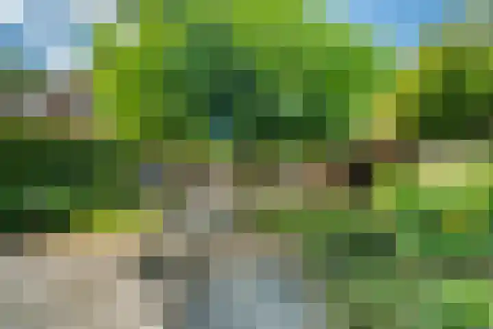 Riddersborch 36 Houten thumbnail 24