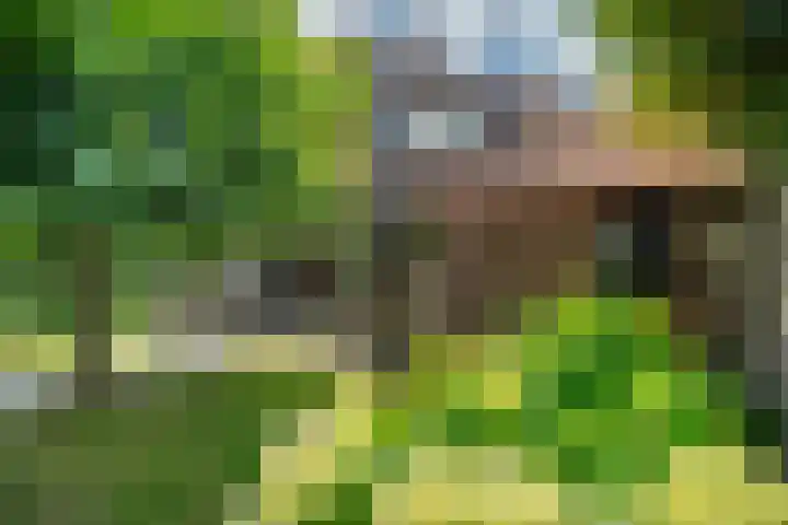 Riddersborch 36 Houten thumbnail 25