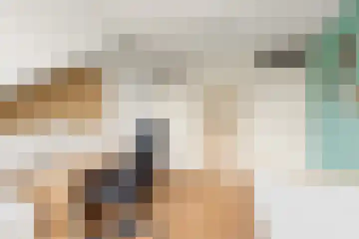 Riddersborch 36 Houten thumbnail 36