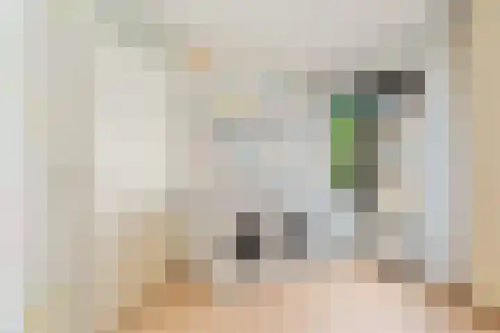 Riddersborch 36 Houten thumbnail 44