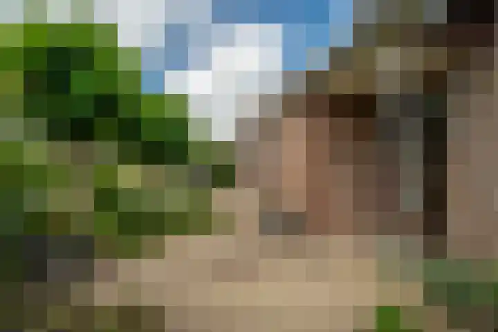 Riddersborch 36 Houten thumbnail 46