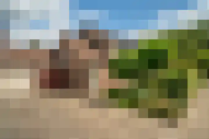 Riddersborch 36 Houten thumbnail 48