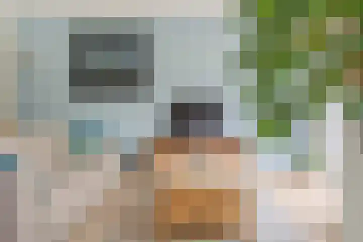 Riddersborch 36 Houten thumbnail 5