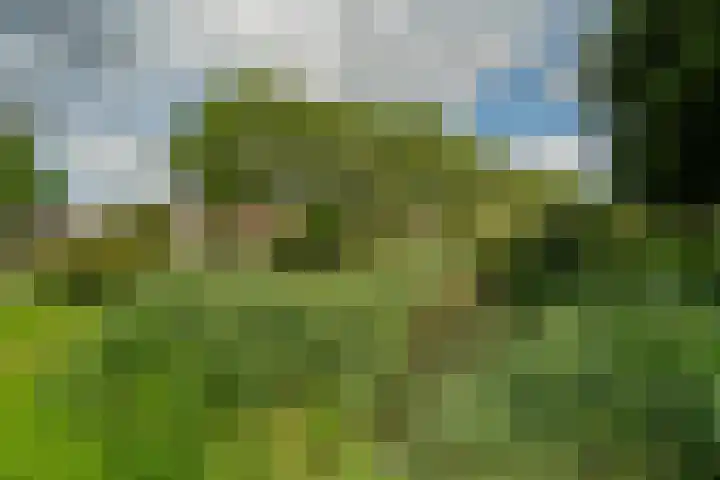 Riddersborch 36 Houten thumbnail 51