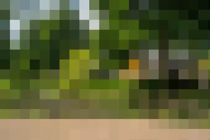 Riddersborch 36 Houten thumbnail 52