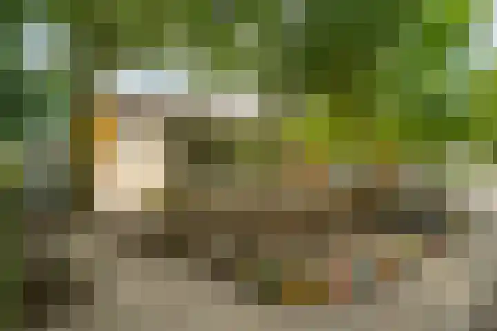 Riddersborch 36 Houten thumbnail 53