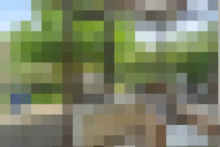 Riddersborch 36 Houten thumbnail 9