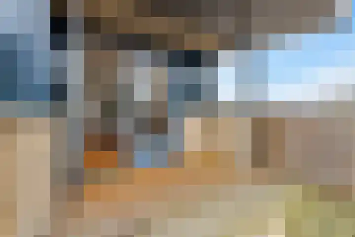 Riddersborch 45 a Houten thumbnail 14