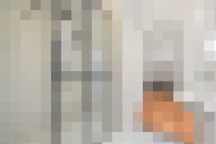 Riddersborch 45 a Houten thumbnail 28
