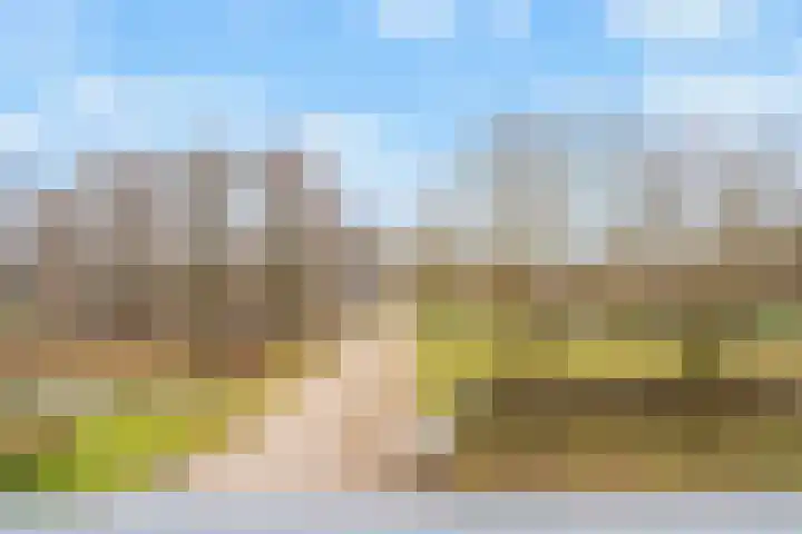 Riddersborch 45 a Houten thumbnail 31
