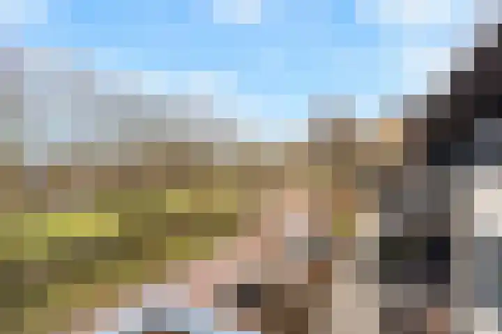 Riddersborch 45 a Houten thumbnail 32