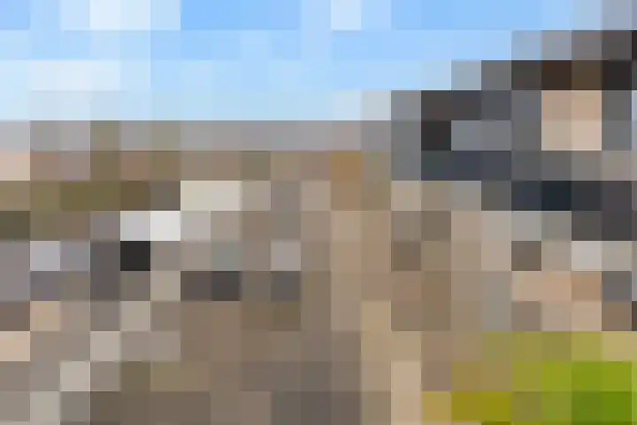 Riddersborch 45 a Houten thumbnail 33