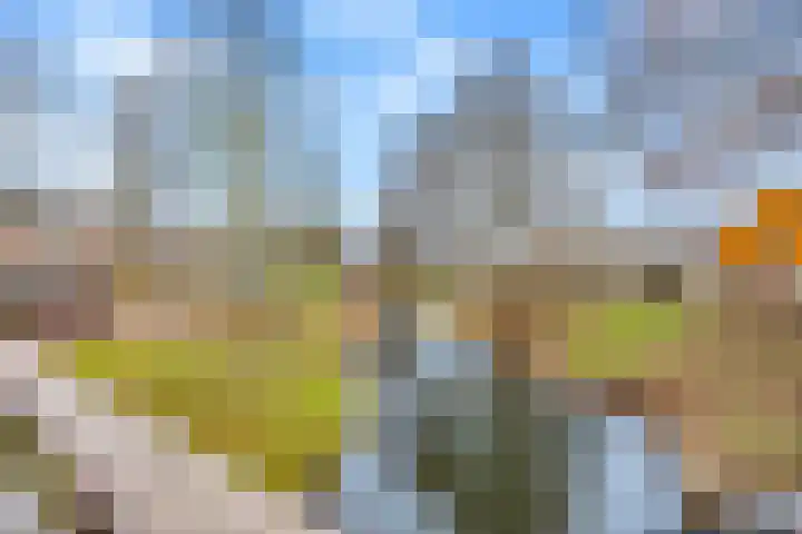 Riddersborch 45 a Houten thumbnail 35