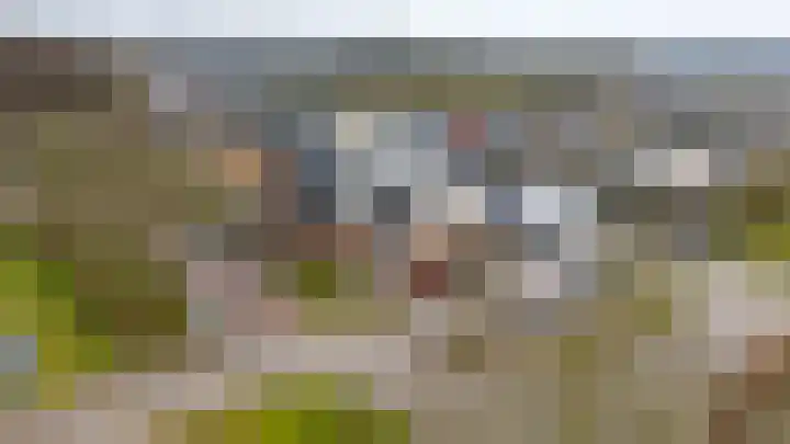 Riddersborch 45 a Houten thumbnail 38