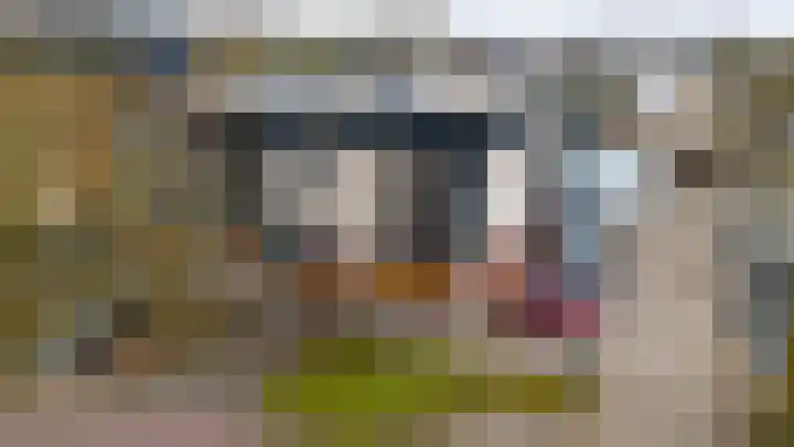 Riddersborch 45 a Houten thumbnail 39