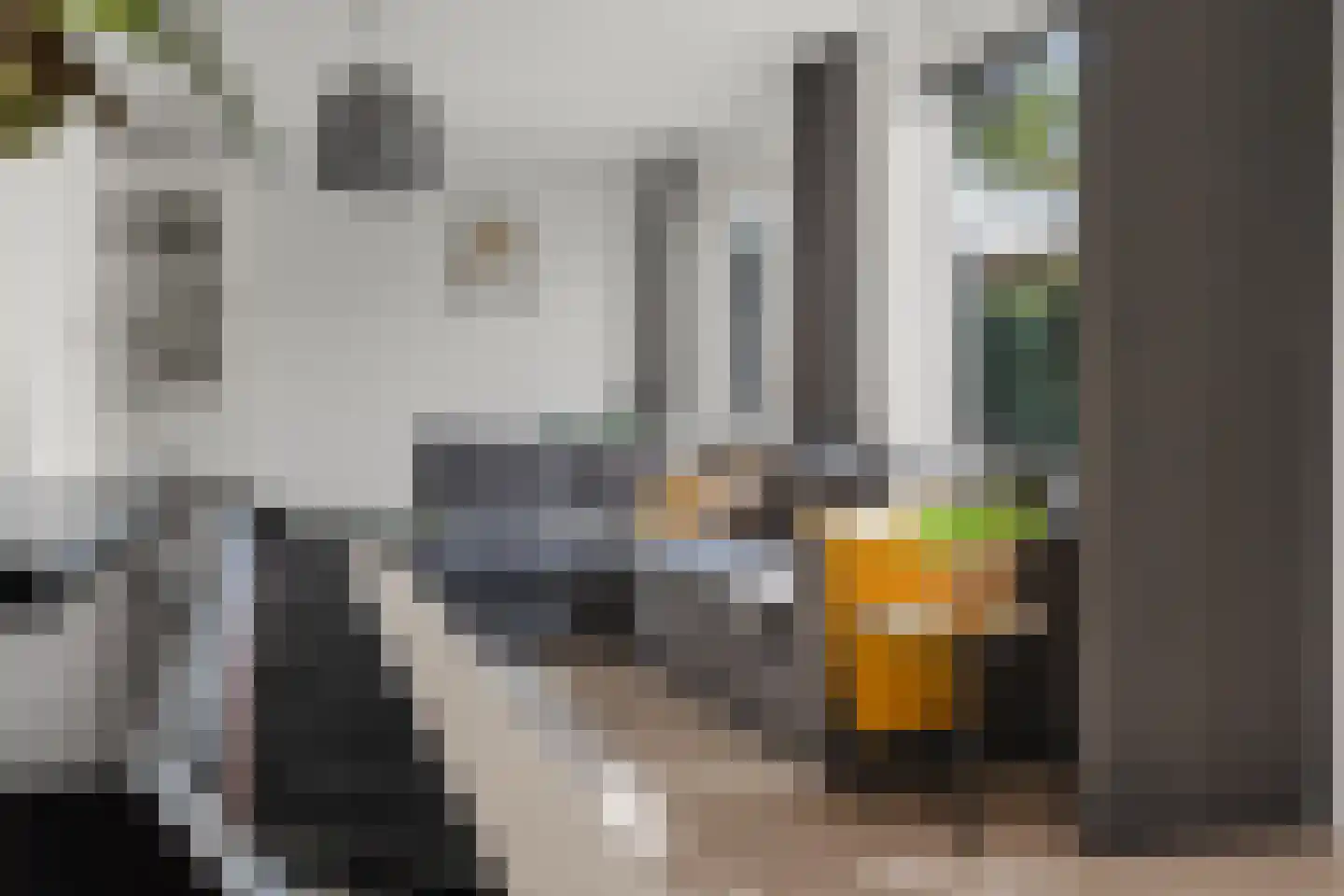Riddersborch 5 Houten thumbnail 10