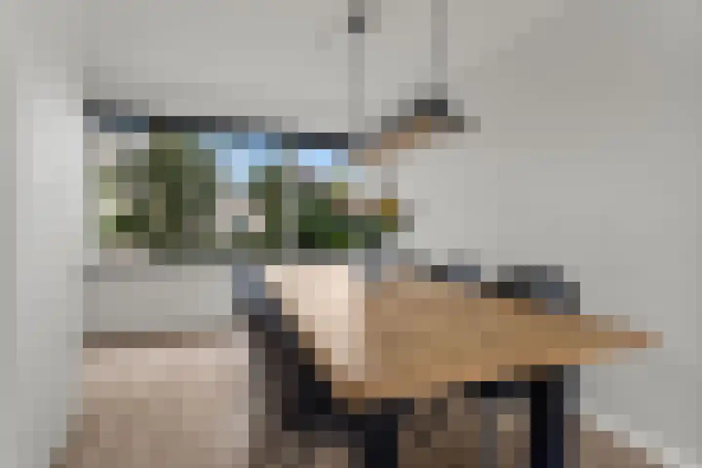 Riddersborch 5 Houten thumbnail 13