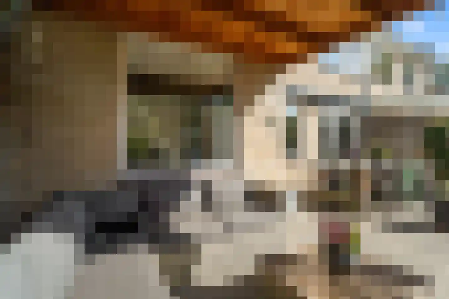 Riddersborch 5 Houten thumbnail 30