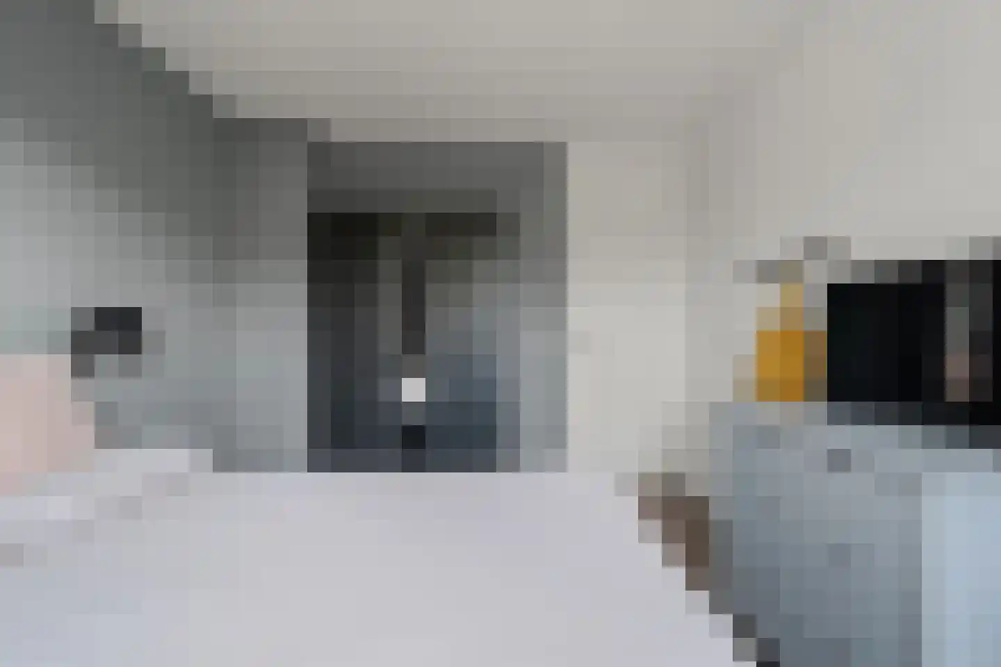 Riddersborch 5 Houten thumbnail 34