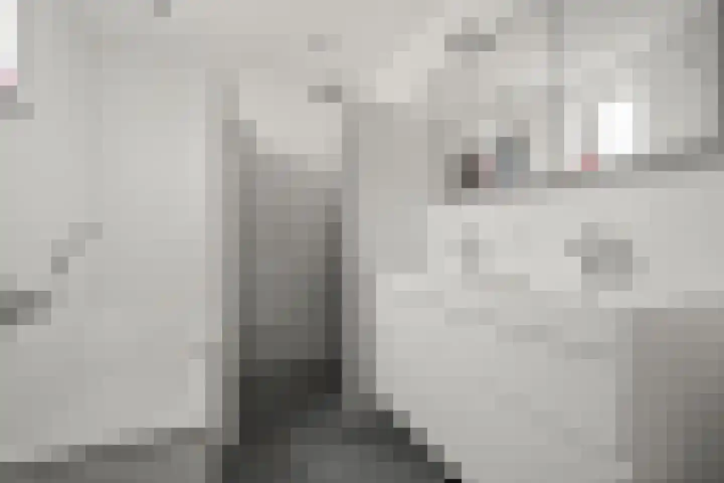 Riddersborch 5 Houten thumbnail 39