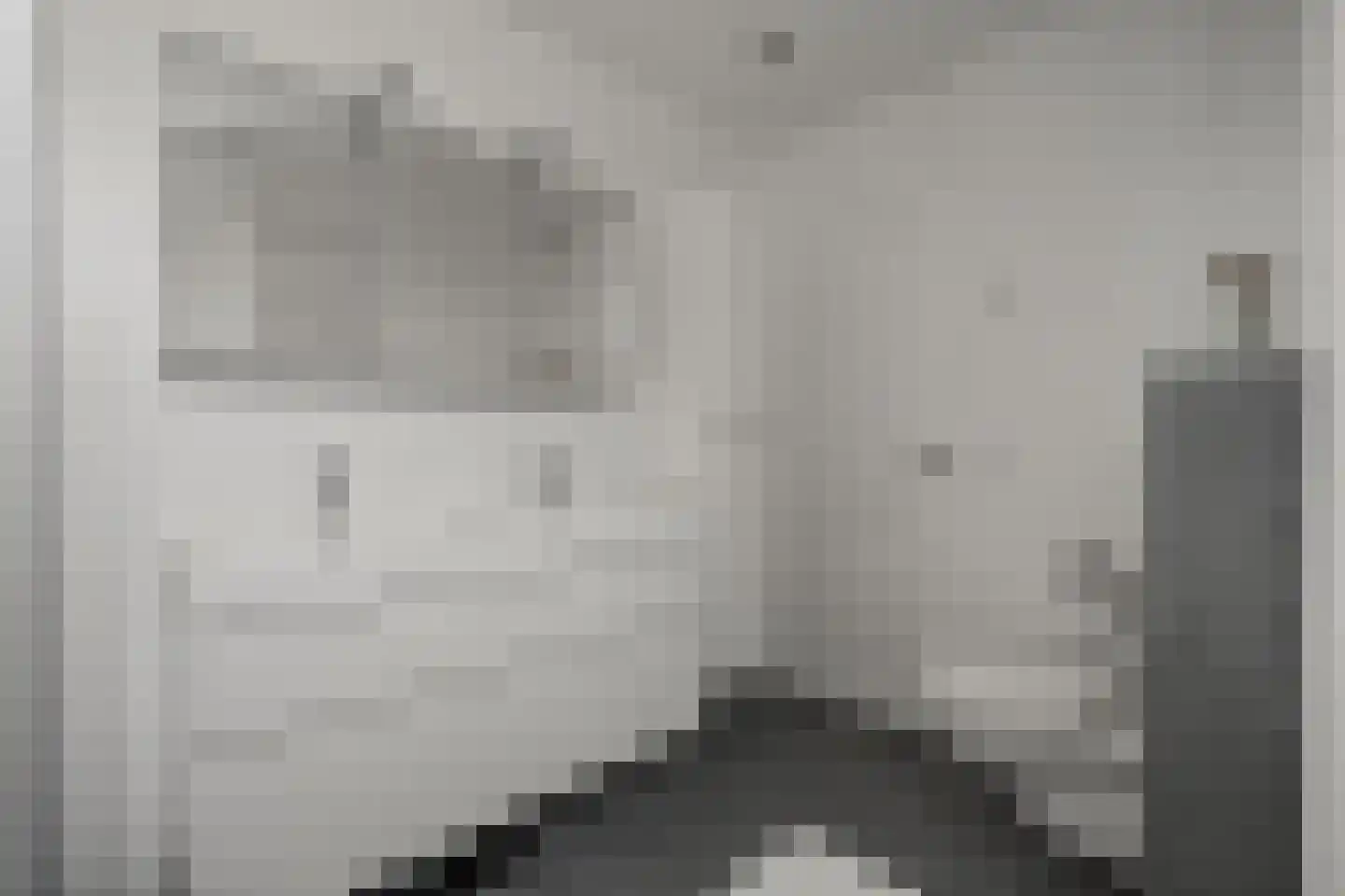 Riddersborch 5 Houten thumbnail 41