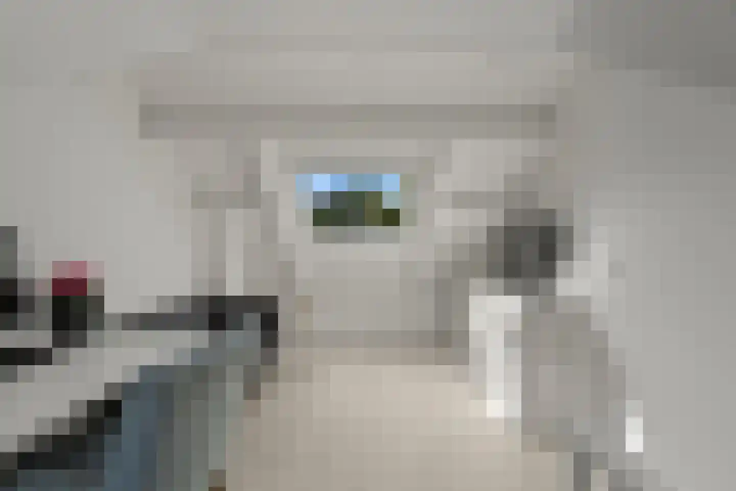 Riddersborch 5 Houten thumbnail 43