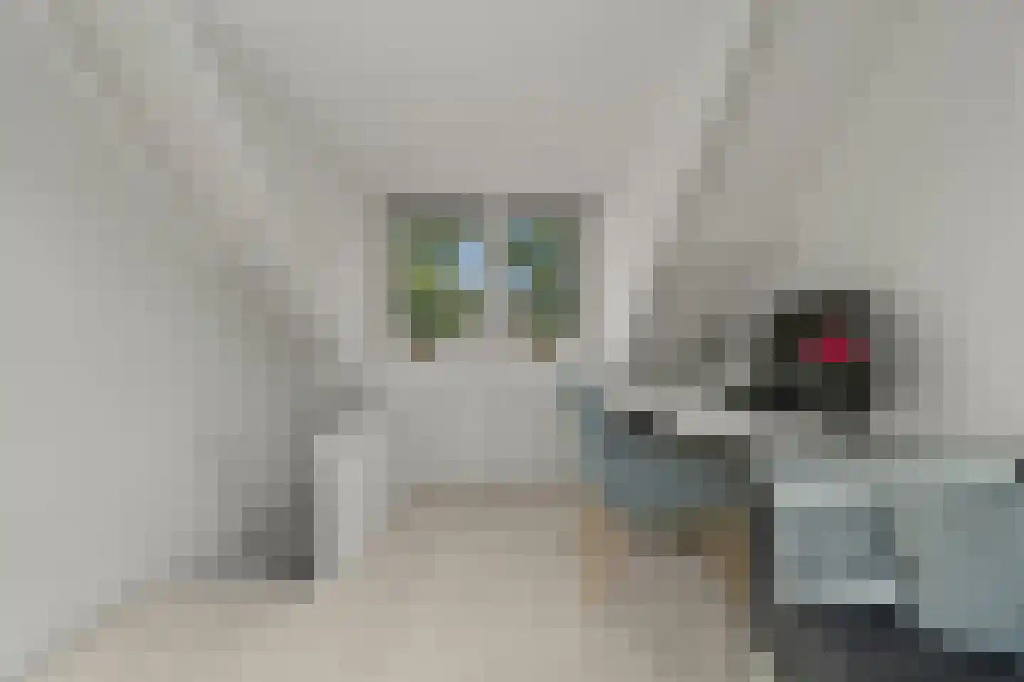 Riddersborch 5 Houten thumbnail 44