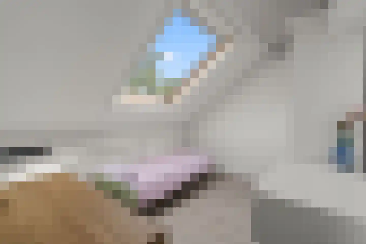 Riddersborch 5 Houten thumbnail 45