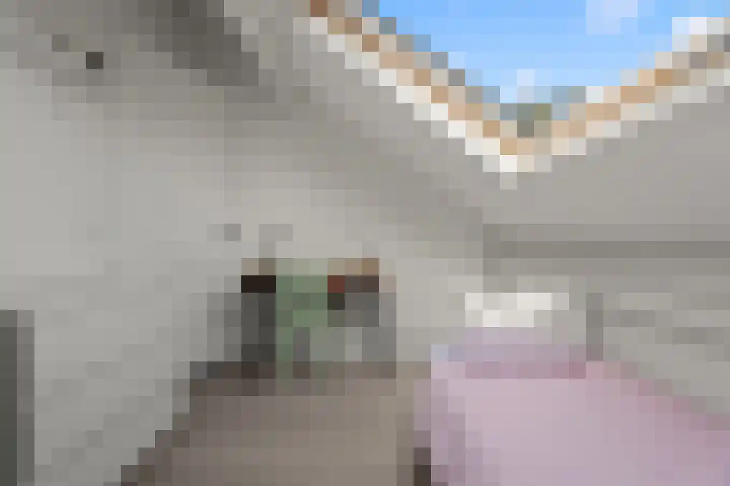 Riddersborch 5 Houten thumbnail 46