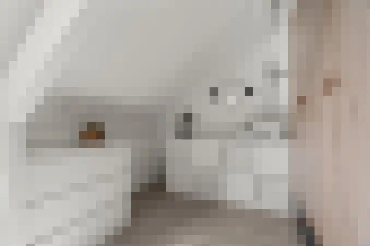 Riddersborch 5 Houten thumbnail 49