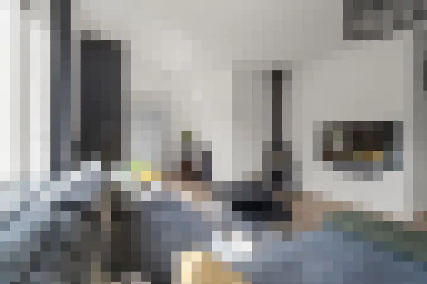 Riddersborch 5 Houten thumbnail 5