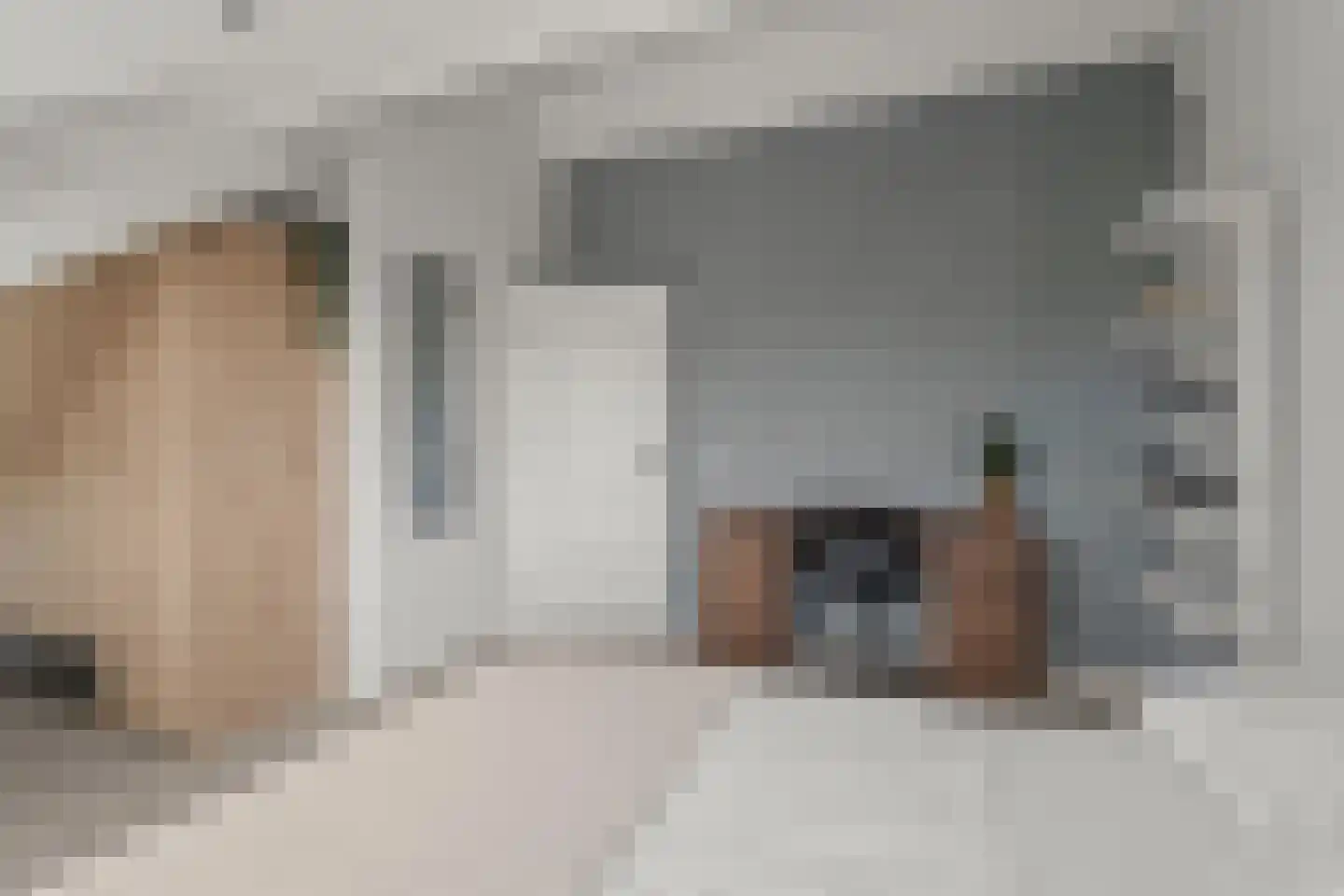 Riddersborch 5 Houten thumbnail 50